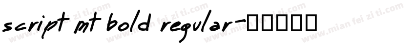 script mt bold regular字体转换